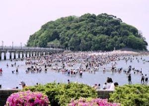 竹島周辺の干潟に集まる人々