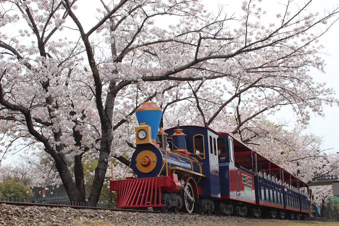 碧南市の桜と公園の遊具