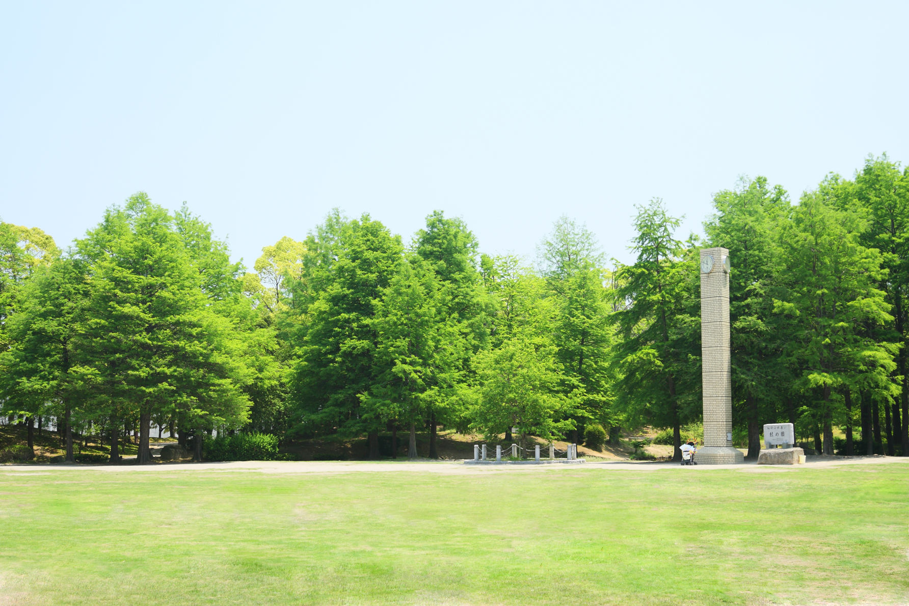 緑豊かな公園の風景