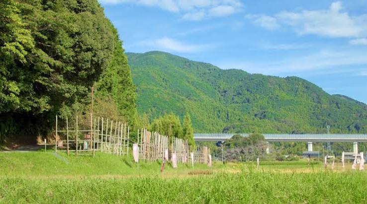山並みを背景に木の柵が並ぶ草地