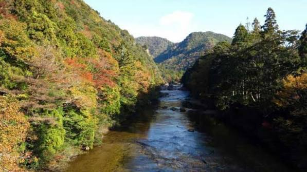 紅葉した木々と山に囲まれた川の風景