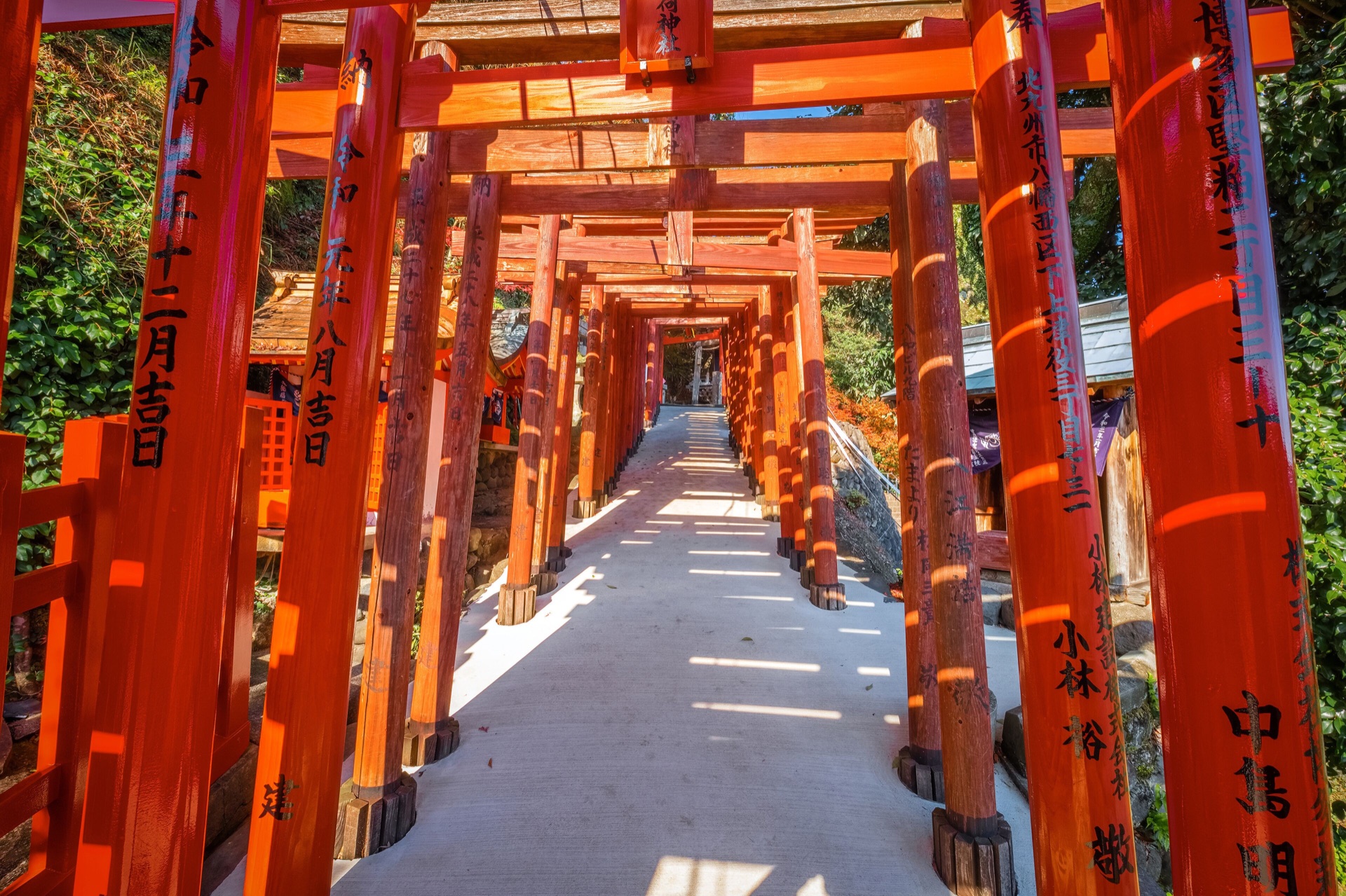 豊川稲荷の朱色の鳥居