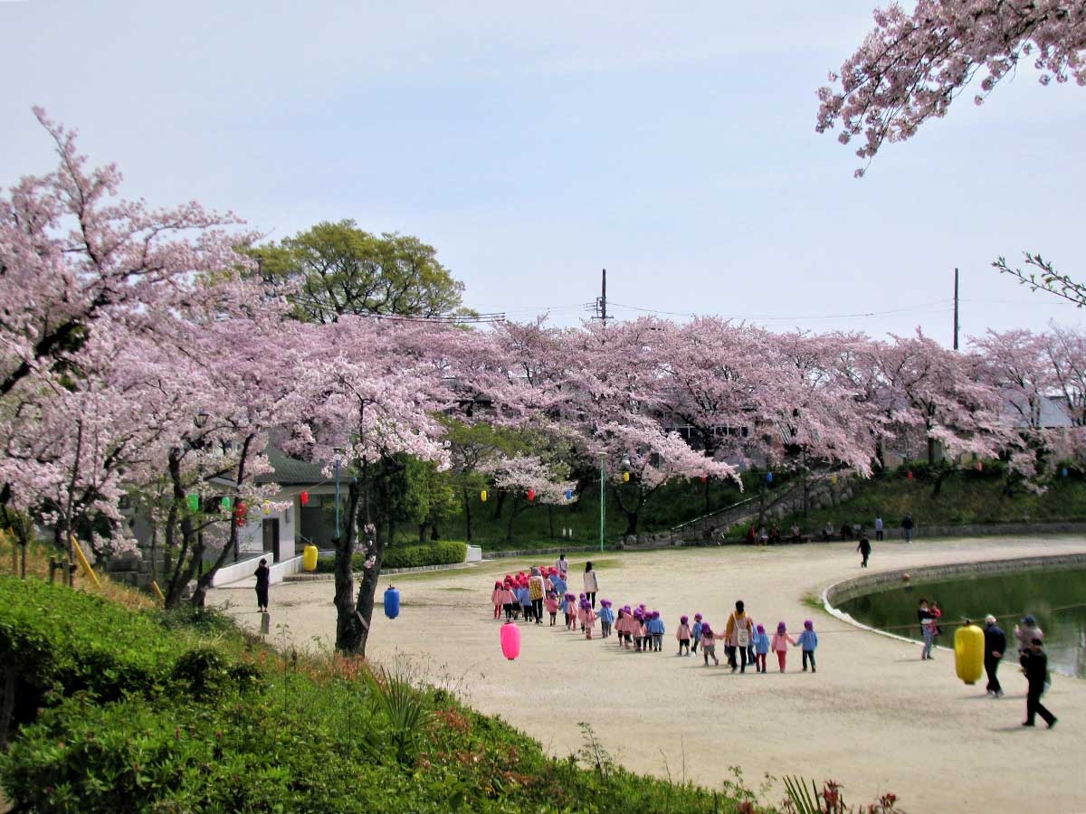 桜が咲く天王川公園を散策する人々